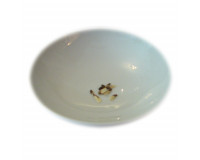 Catha edulis - Khat Samen