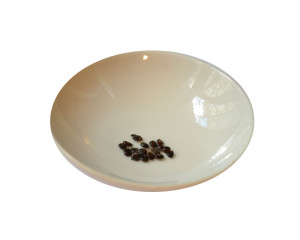 Mimosa hostilis - Samen