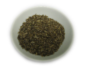 Phalaris arundinacea